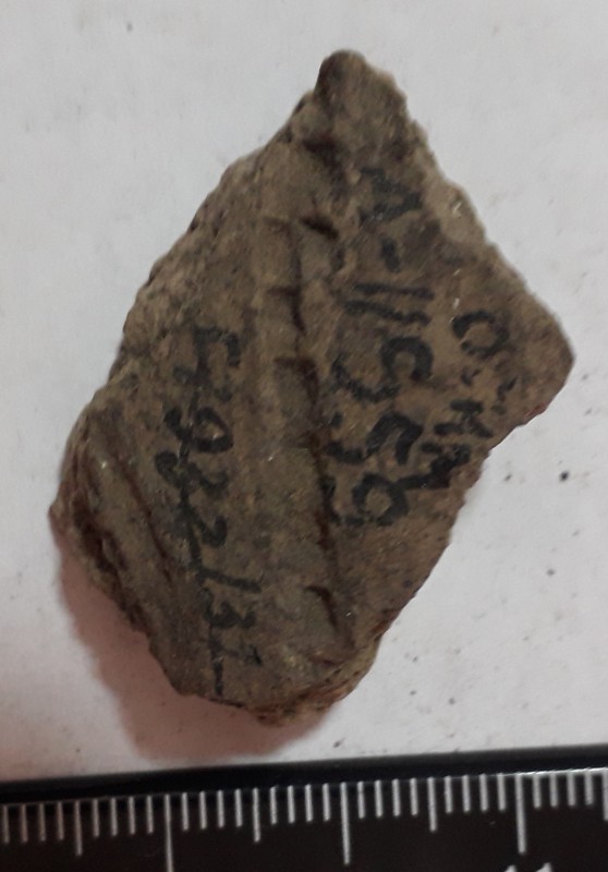 Фрагмент стінки ліпної сіроглиняної посудини.