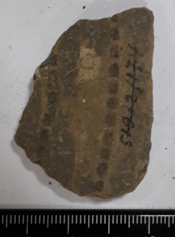 Фрагмент стінки ліпної сіроглиняної посудини, жовтого кольору назовні.