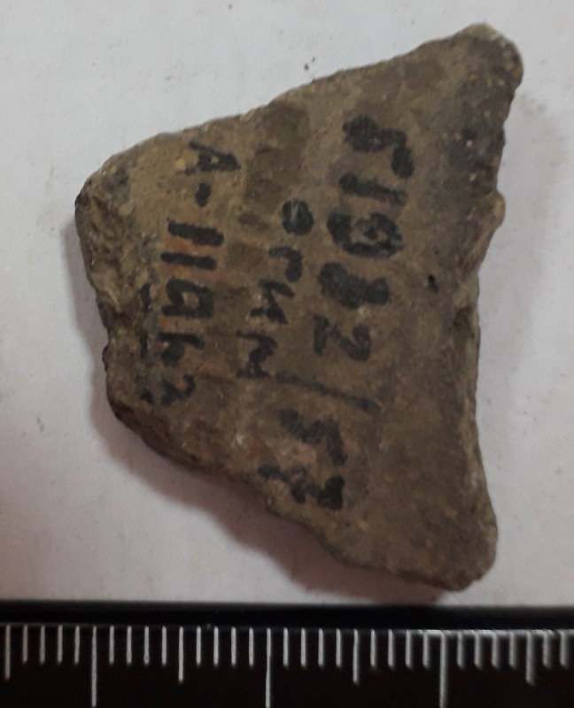 Фрагмент стінки ліпної сіроглиняної посудини.