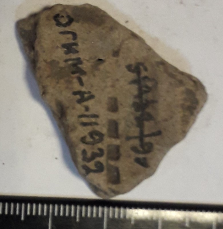 Фрагмент стінки ліпної жовтоглиняної посудини.