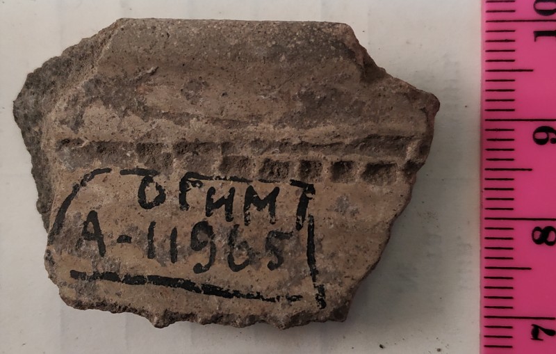 Фрагмент вінця ліпної сіроглиняної посудини.