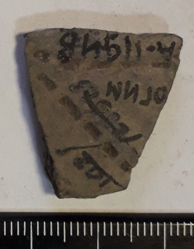 Фрагмент стінки ліпної сіроглиняної посудини.