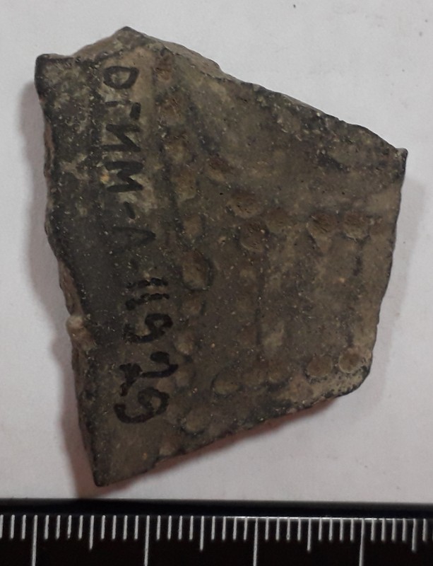 Фрагмент стінки ліпної сіроглиняної посудини.