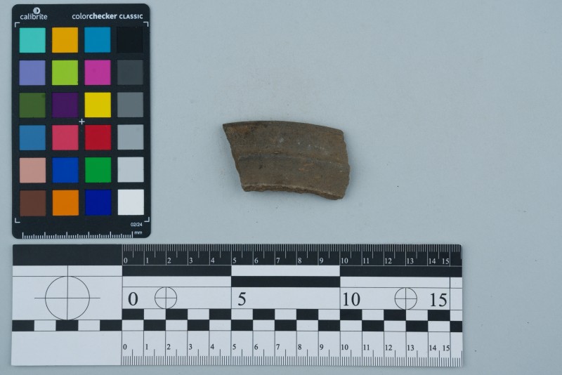 Вінчик посудини