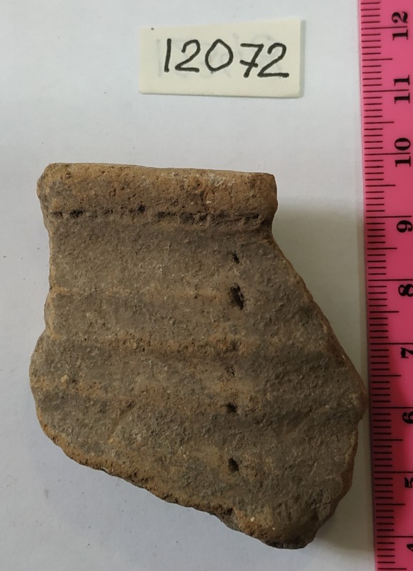 Фрагмент вінця ліпної жовтоглиняної посудини.