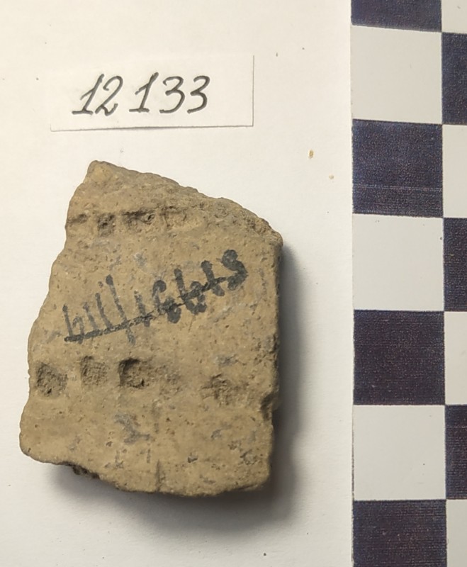 Фрагмент стінки ліпної сіроглиняної посудини