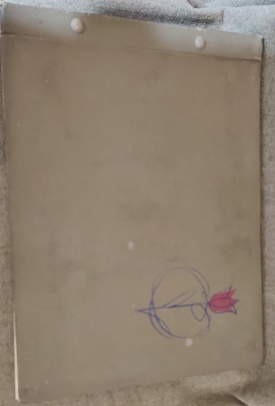 Альбом "Рапорт піонерської дружини"