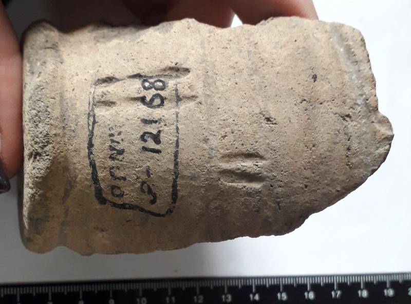 Фрагмент денця та придонної частини ліпної жовтоглиняної посудини