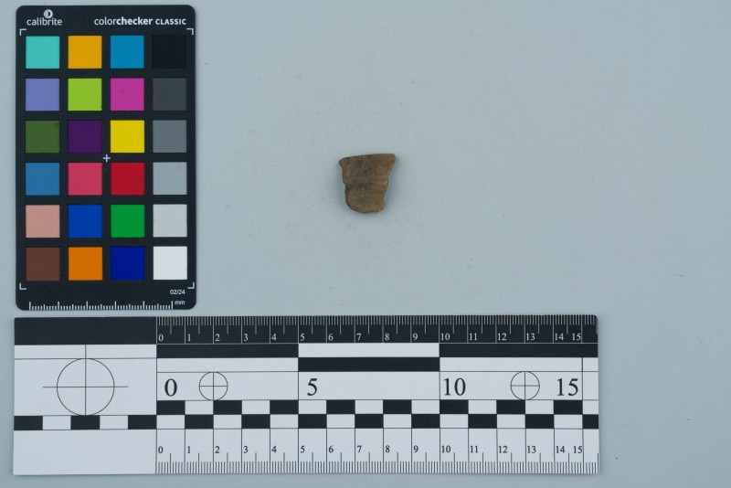 Вінчик посудини