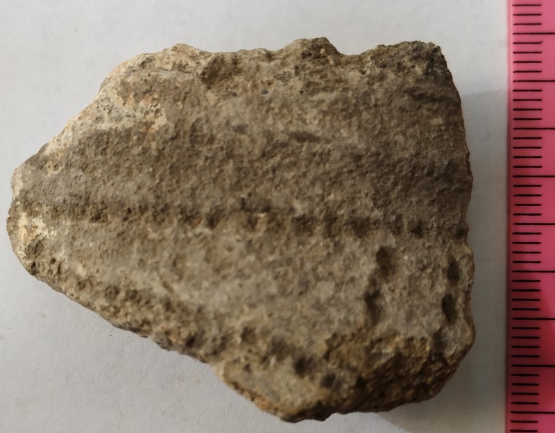 Фрагмент стінки ліпної жовтоглиняної посудини