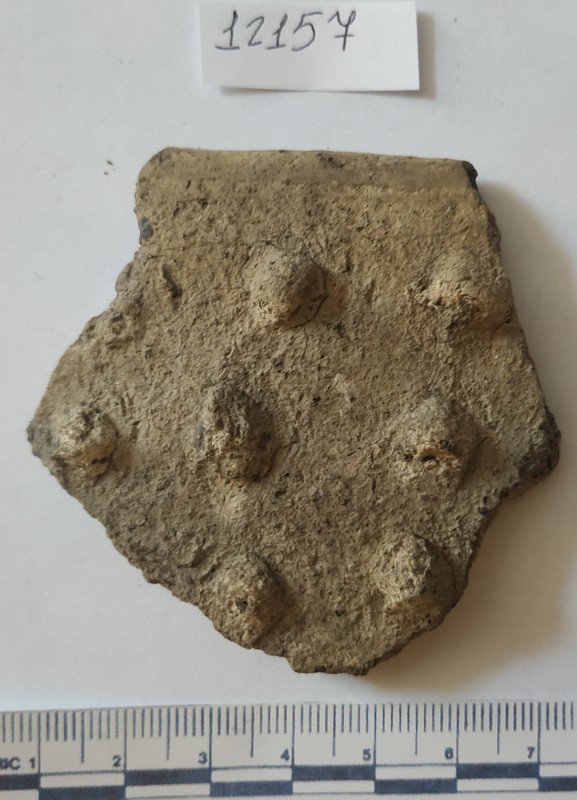 Фрагмент вінця ліпної посудини.