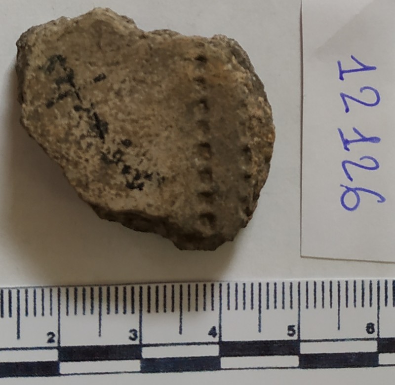 Фрагмент стінки ліпної сіроглиняної посудини.