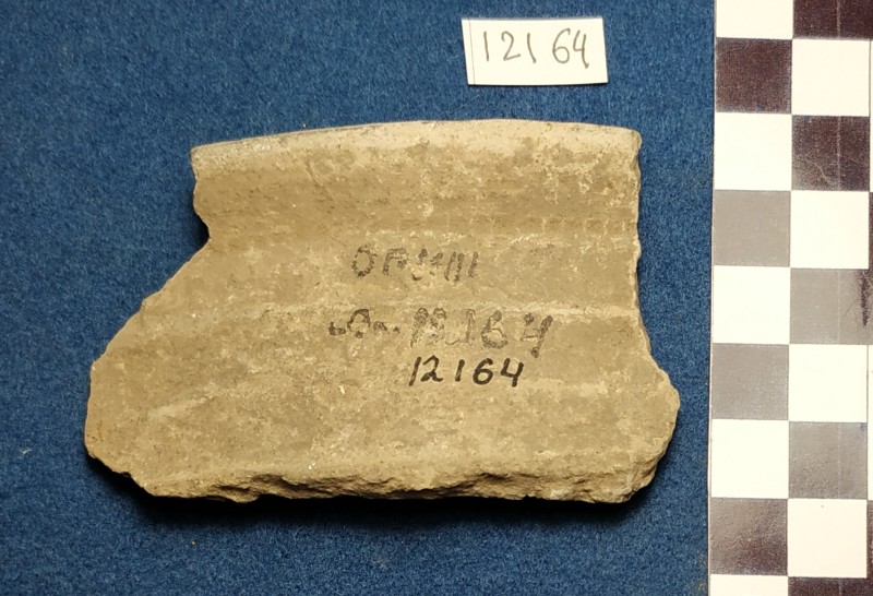 Фрагмент стінки ліпної сіроглиняної посудини