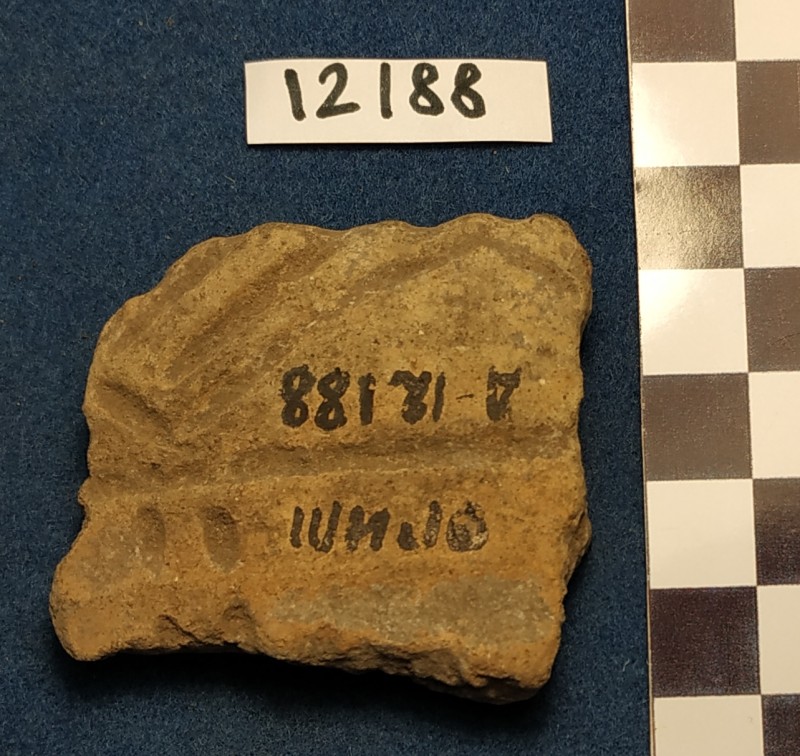 Фрагмент вінець ліпної жовтоглиняної  посудини