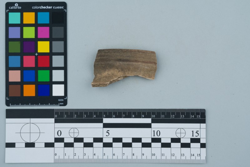 Вінчик посудини