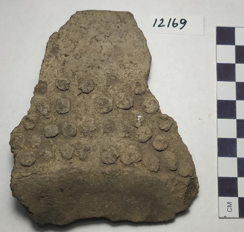 Фрагмент вінець,  денця і придонної частини сіроглиняної ліпної посудини