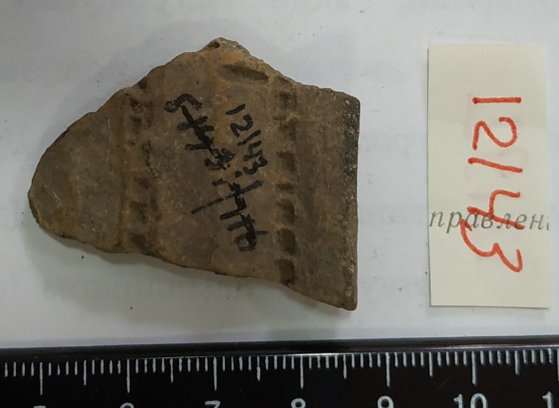 Фрагмент вінця ліпної сіроглиняної посудини