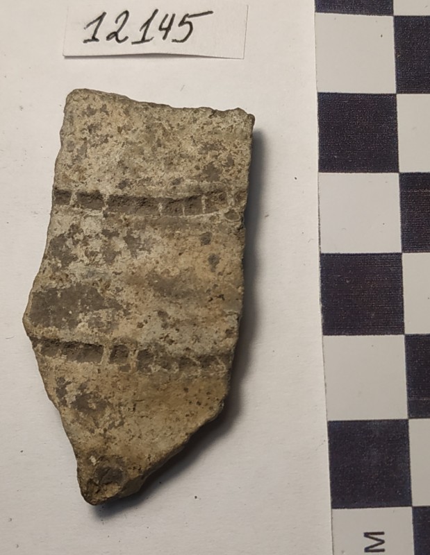 Фрагмент стінки ліпної сіроглиняної посудини