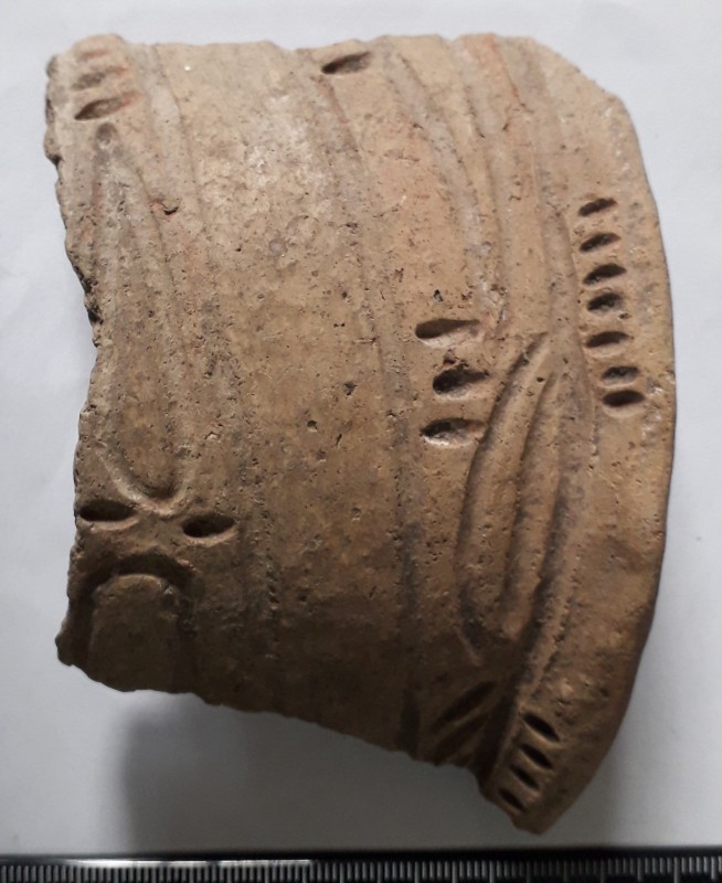 Фрагмент верхньої частини і вінця ліпної жовтоглиняної посудини