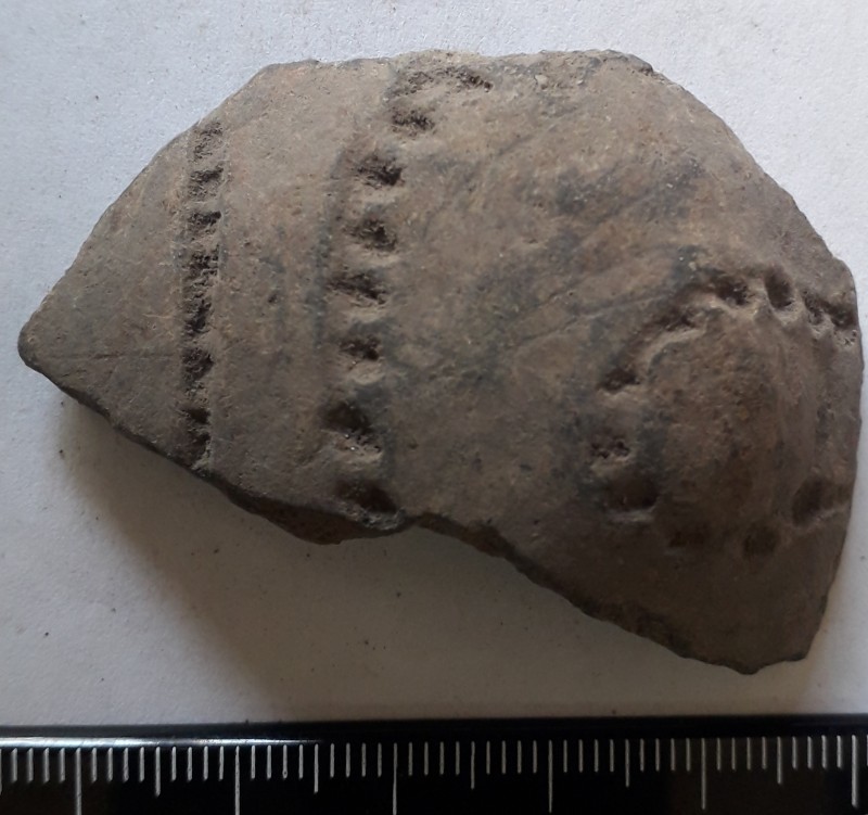 Фрагмент стінки ліпної сіроглиняної посудини