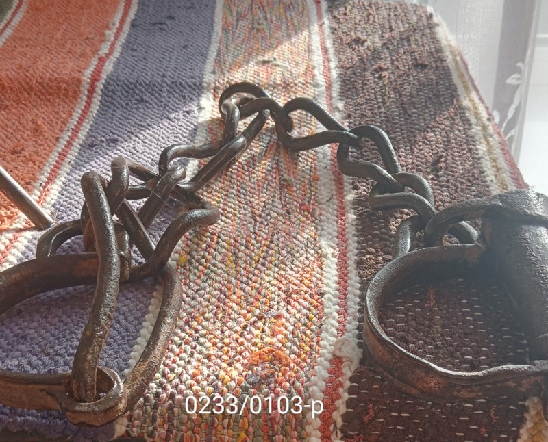 Путо залізне для коней