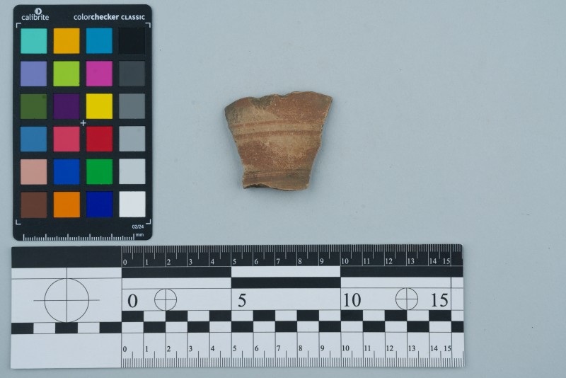 Боковина посудини