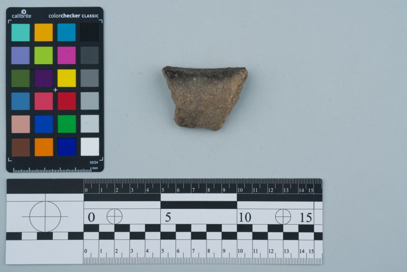 Вінчик посудини