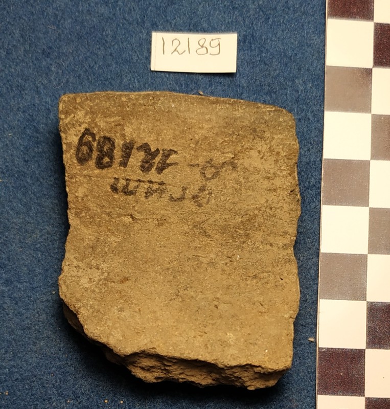 Фрагмент стінки ліпної сіроглиняної посудини