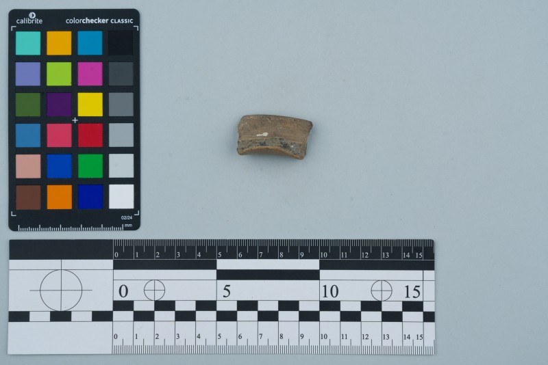 Вінчик посудини