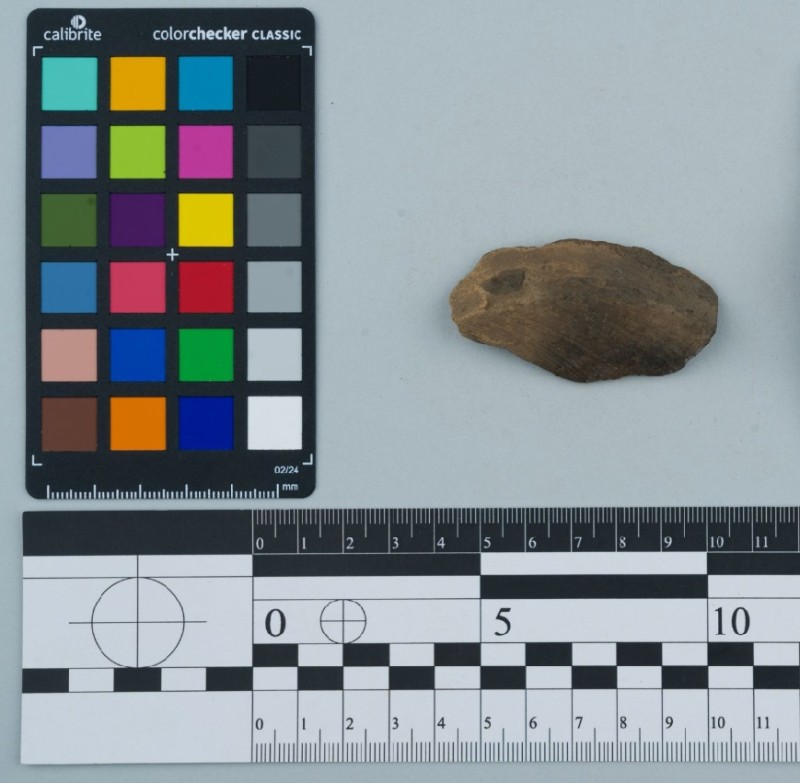 Денце посудини