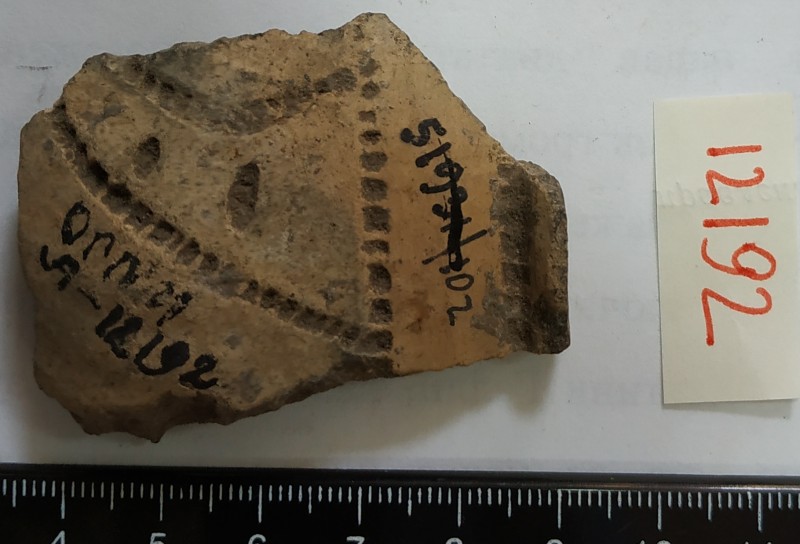 Фрагмент вінця ліпної сіроглиняної посудини, жовтого кольору назовні.