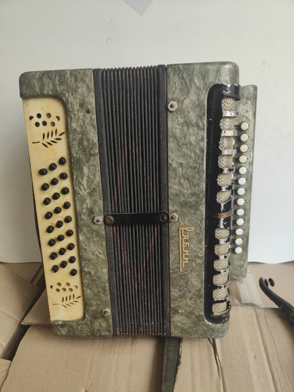 Баян. Рябина