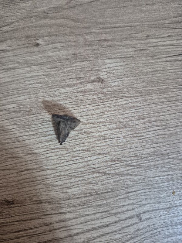 Цвях кований