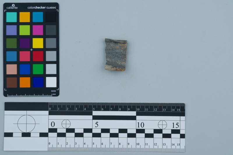 Вінчик посудини