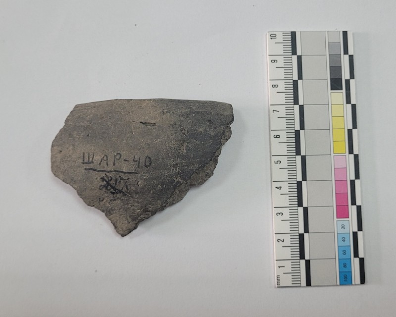 Фрагмент вінця посудини