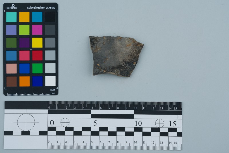 Боковина посудини