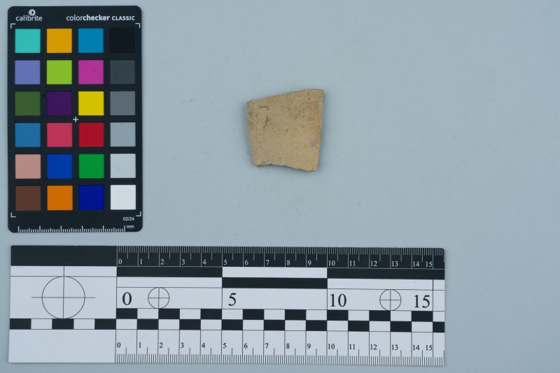 Боковина посудини