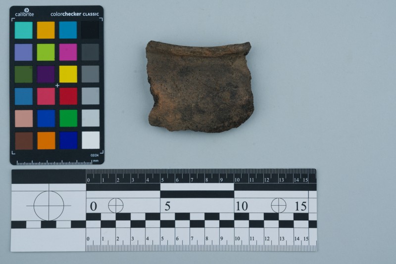 Вінчик посудини