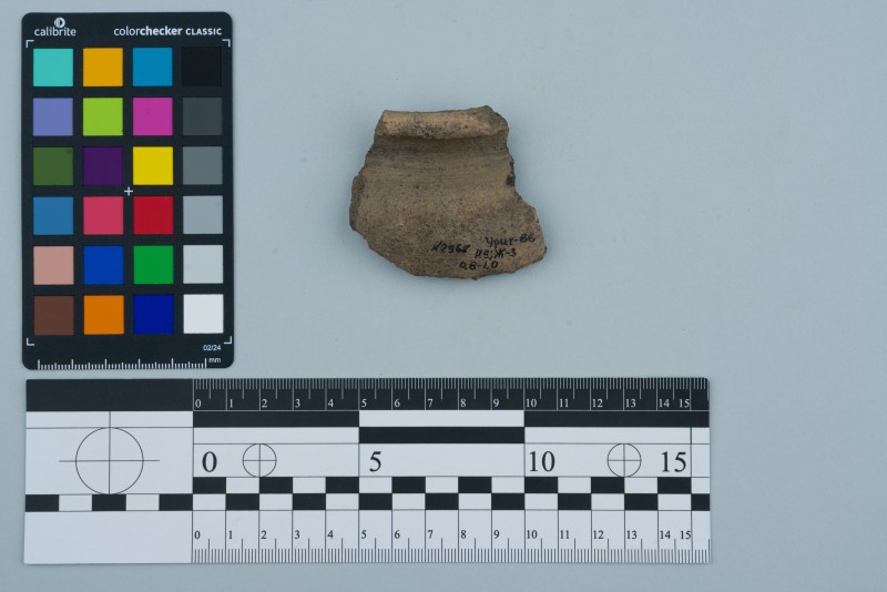 Вінчик посудини