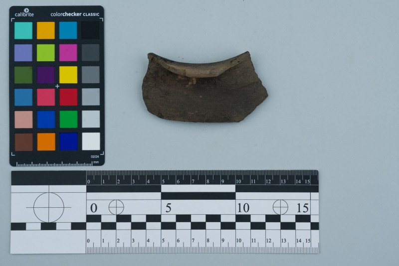 Вінчик посудини