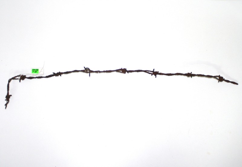 Фрагмент колючого дроту табору для військовополонених