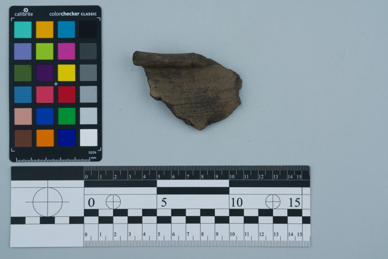 Вінчик посудини