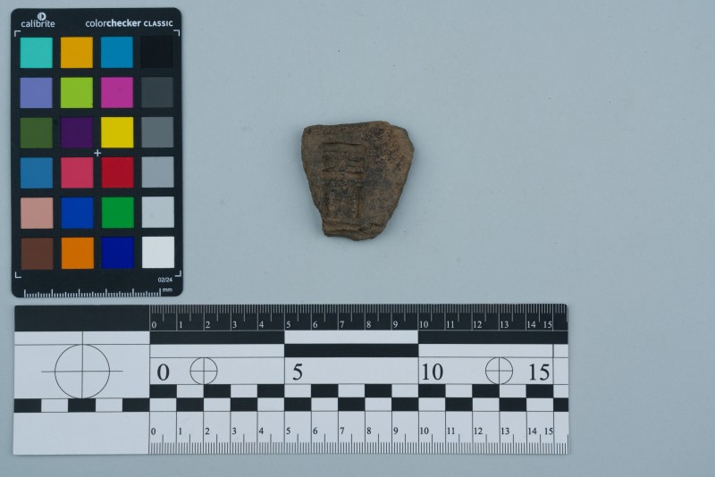 Боковина посудини