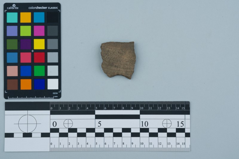 Боковина посудини