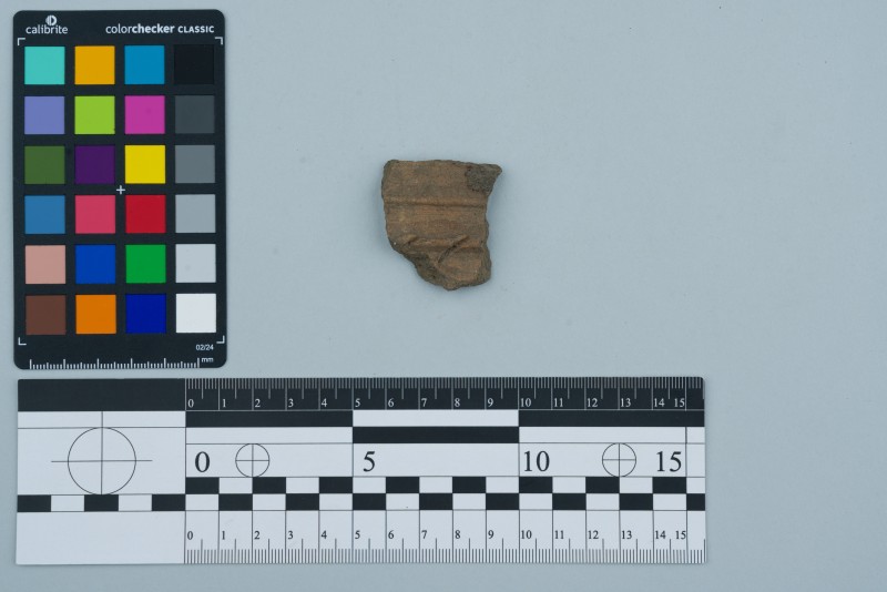 Вінчик посудини