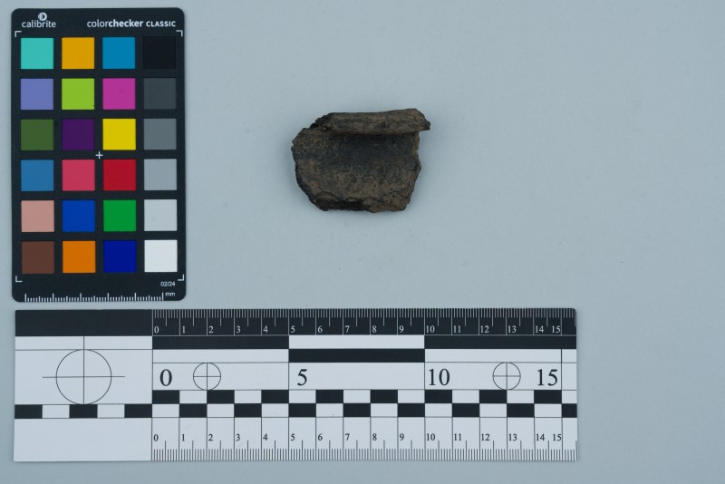 Вінчик посудини