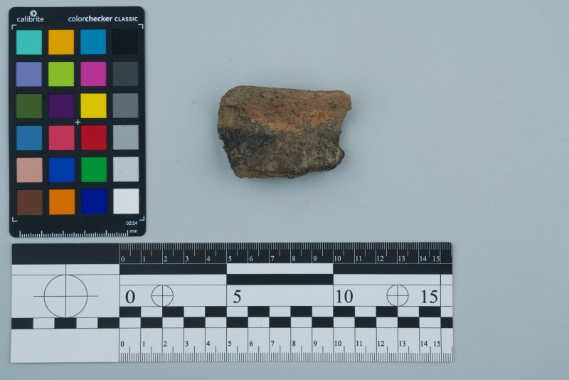 Вінчик посудини