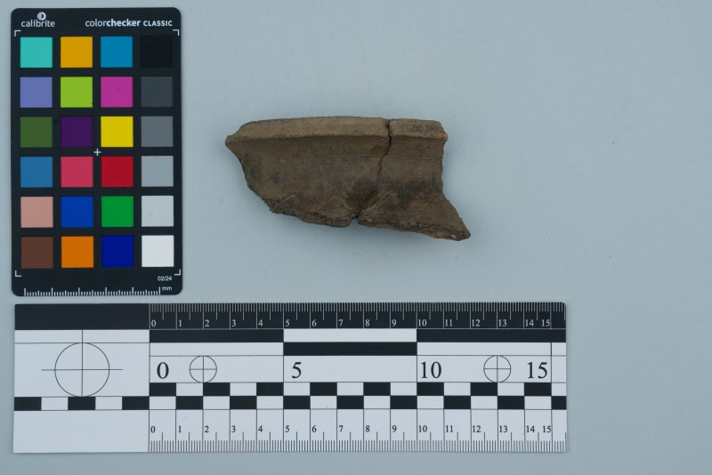 Вінчик посудини