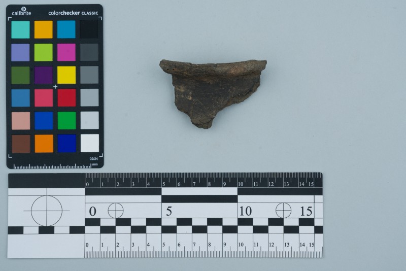 Вінчик посудини