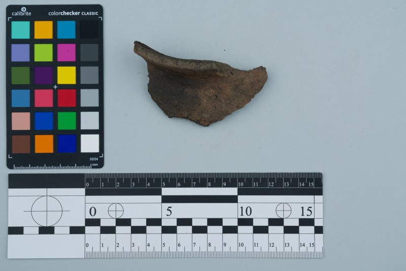 Вінчик посудини